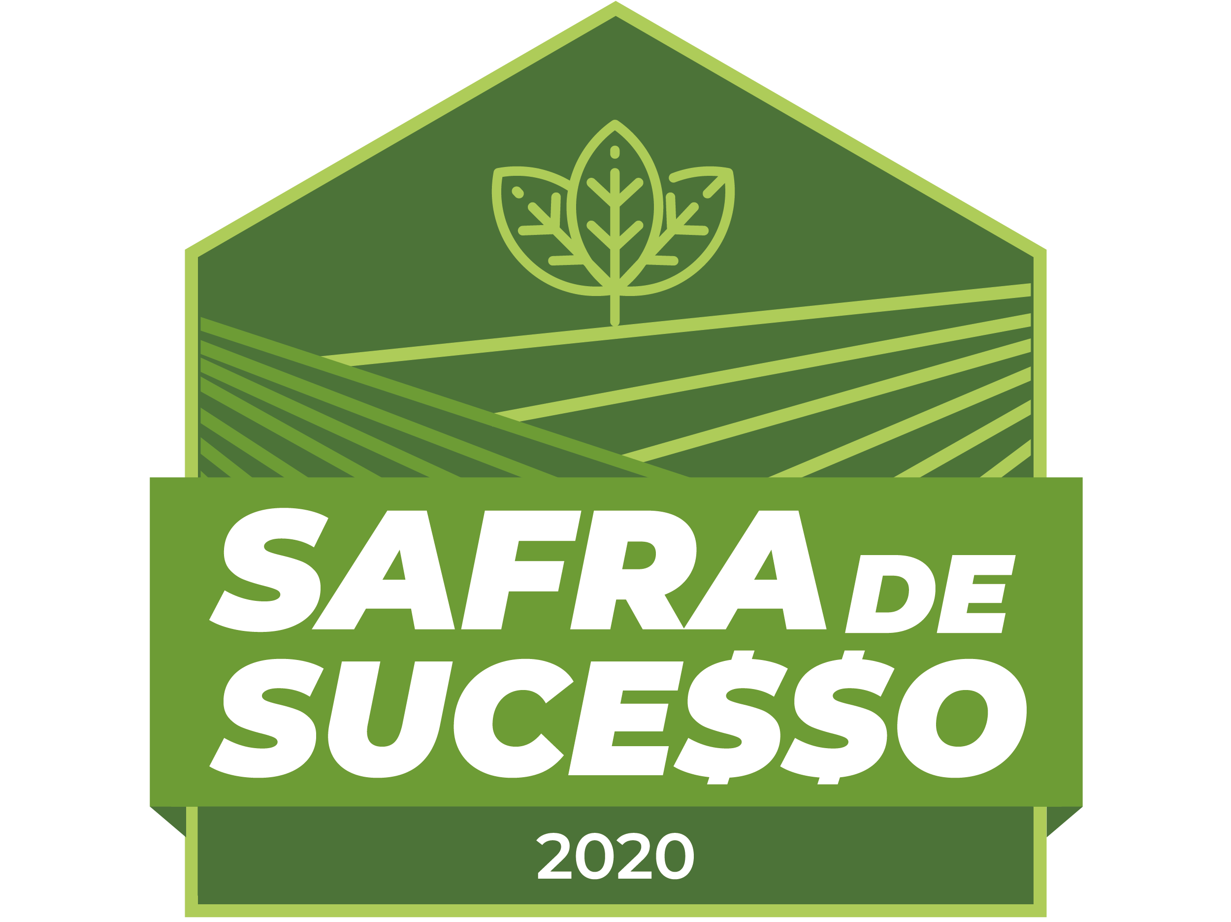 Safra de Sucesso